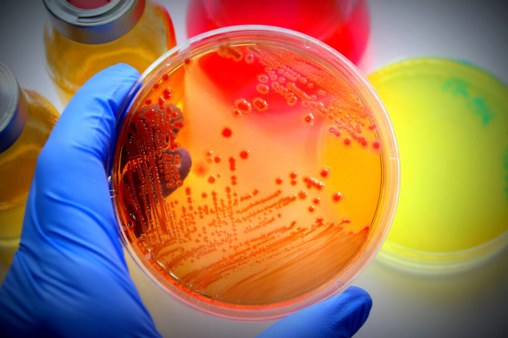 Microbiology