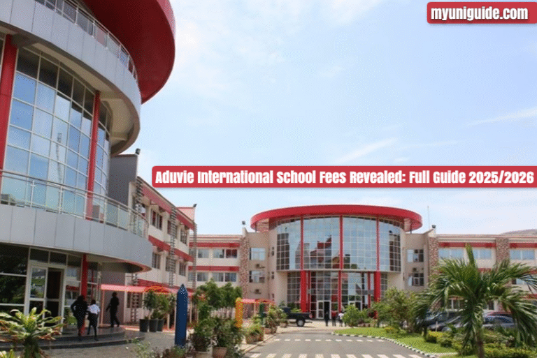 Aduvie International School Fees